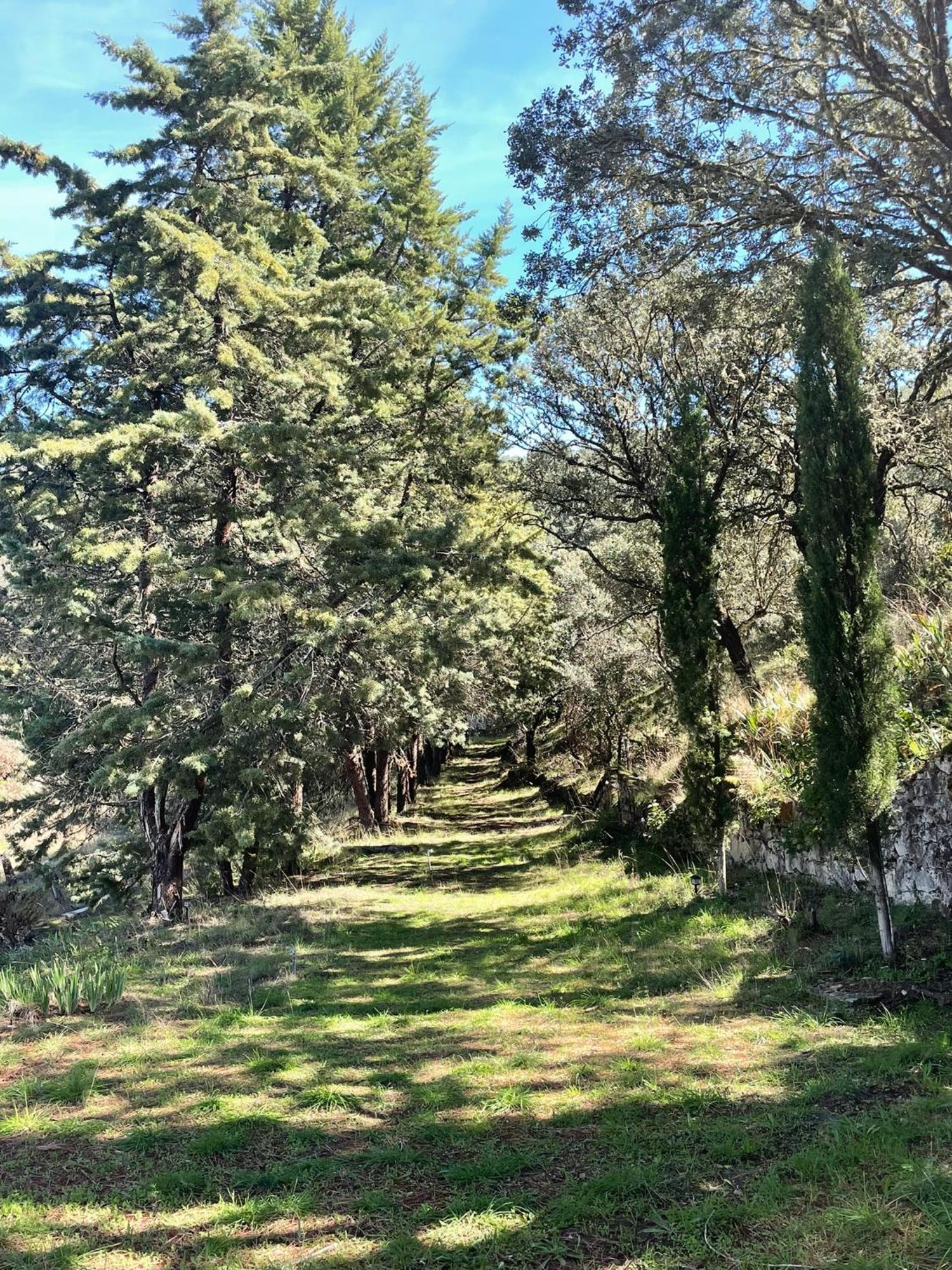 Casa Rural Camino De Hierro I Y II La Fregeneda Eksteriør bilde